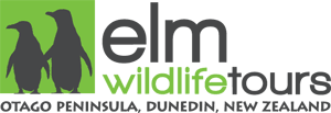 Elm Wildlife Tours - Dunedin