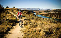Copyright: New Zealand Tourism Guide. Deans Bank Track, Wanaka, New Zealand