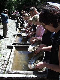 Copyright: New Zealand Tourism Guide. Gold-panning at Shantytown, West Coast, New Zealand