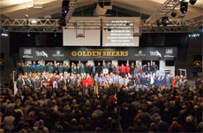 The Golden Shears, Masterton