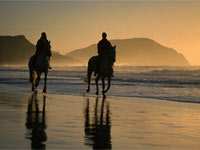 Copyright: New Zealand Tourism Guide. Horse Treks, New Zealand