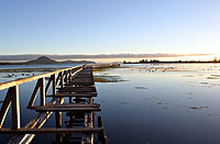 Copyright: New Zealand Tourism Guide. Lake Taupo, New Zealand