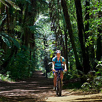 Copyright: New Zealand Tourism Guide. New Zealand Cycle Trail: From Sky to Sea