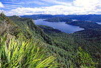 Copyright: New Zealand Tourism Guide. Te Urewera National Park, New Zealand