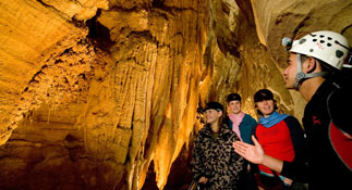 Guided tour of the Waitomo Caves in New Zealand