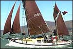 Jack Tar Sailing Co.
