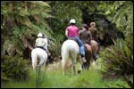 Oropi Bushlands Scenic Horse Treks