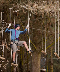 Obstacle at Adrenalin Forest in New Zealand