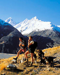 New Zealand Hunting and Shooting, Hunting in New Zealand, Shooting in New Zealand