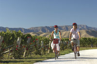 Image Source: Tourism New Zealand. Biking a wine trail in Marlborough, New Zealand