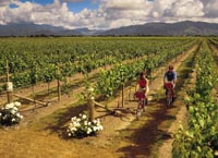 Wineries New Zealand