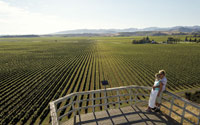 Image Source: Tourism New Zealand. Wairau Plain wineries, Marlborough, New Zealand