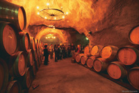 Image Source: Tourism New Zealand. Wine Cave, Gibston Valley, Queenstown, New Zealand
