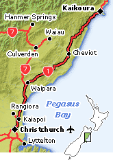 Christchurch - Kaikoura