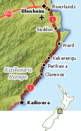 Kaikoura - Blenheim