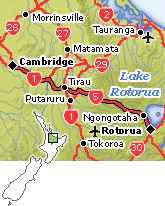 Rotorua - Cambridge