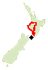 Wellington - Taupo - Wellington