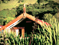 Image Source: Tourism New Zealand. Māori Marae, New Zealand