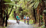 Twin Coast Cycle Trail, Northland, New Zealand