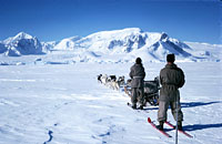 Image Source: U.S. National Science Foundation. Sled, 1965, Antarctica