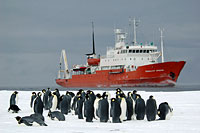 Image Source: Heritage Expeditions. Spirit of Enderby, Antarctica 
