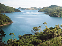 Image Source: Great Barrier Island Tourism Directory. Port FitzRoy looking out to Nagle Cove, Great Barrier Island, New Zealand