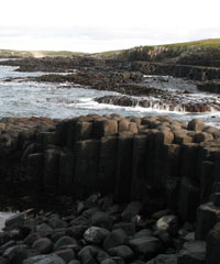 Chatham Island basalt columns