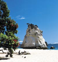 Copyright: Tourism New Zealand. Cathedral Cove, Coromandel Peninsula, Coromandel, New Zealand