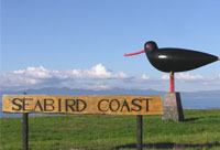 Seabird Coast, Coromandel, New Zealand