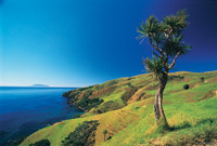 Image Source: Tourism New Zealand. Tip of the Coromandel Peninsula, Coromandel, New Zealand