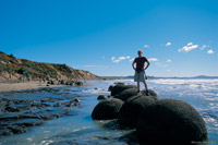 Image Source: Tourism New Zealand. Otago Peninsula beach, New Zealand