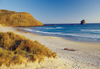 Image Source: Tourism New Zealand. Otago Peninsula beach, New Zealand