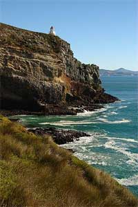 Taiaroa Head, Otago Peninsula, New Zealand