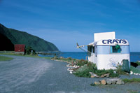 Image Source: Tourism New Zealand. Roadside crayfish shop in Kaikoura, New Zealand