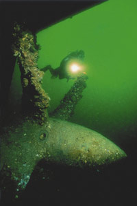 Image Source: Tourism New Zealand. Diving Tutukaka wreck, Northland, New Zealand