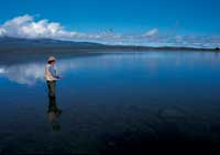 Image Source: Tourism New Zealand. Fishing in Lake Rotoaira, Ruapehu, New Zealand