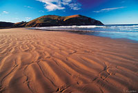 Image Source: Tourism New Zealand. Cannibal Bay, Catlins, Southland, New Zealand