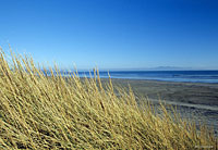 Image Source: Tourism New Zealand. Oreti Beach, Southland, New Zealand