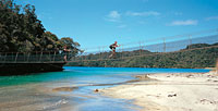 Image Source: Tourism New Zealand. Rakiura Track Swingbridge, Stewart Island, Southland, New Zealand