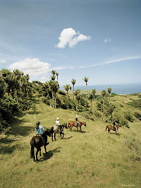Image Source: Tourism New Zealand. Horse trek at Ruapuke, Waikato, New Zealand