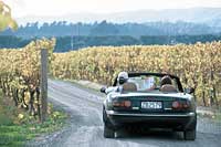 Image Source: Tourism New Zealand. Wine Trail Martinborough, Wairarapa, New Zealand