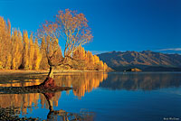 Image Source: Tourism New Zealand. Lake Wanaka, New Zealand