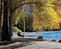 Image Source: Tourism New Zealand. Shores of Lake Wanaka, New Zealand