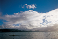 Image Source: Tourism New Zealand. Wellington Harbour, New Zealand