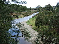 Nelson Creek, West Coast, New Zealand
