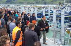 New Kaikoura Marina Opens One Year After Earthquake