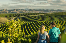 NZ's Popularity as Wine Tourism Destination Growing