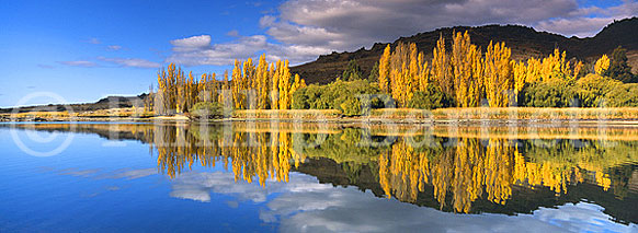 Copyright: Phillip Bartlett. Alexandra, Central Otago, South Island, New Zealand