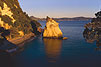 Copyright: Phillip Bartlett. Cathedral Cove, Whitianga, North Island, New Zealand