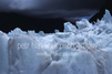 Copyright: Petr Hlavacek Photography. Franz Josef Glacier, West Coast, New Zealand